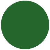 logo vert